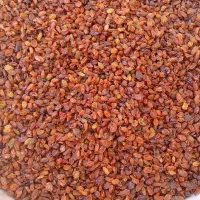 قیمت 290|خوردنی و آشامیدنی|یاسوج, |دیوار