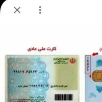 مدارک  گمشده به اسم امیر  صیدمرادی