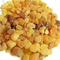 فروش انغوزه