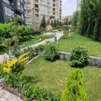 نفت-کنگان-560-متر-زمین-2-کله