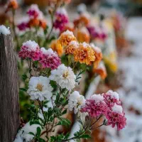 سیمکارت 912 کد یک 09121216427