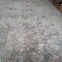 فرش ۶ متری|فرش|قرچک, شهرک طلائیه|دیوار