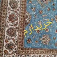 فرش|فرش|یاسوج, |دیوار