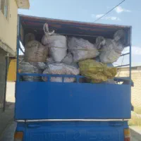 ذغال چینی
