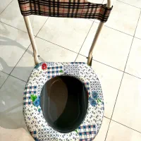 دستشویی فرنگی