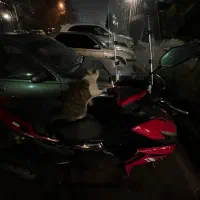 موتور طرح ایروکس ۱۵۵|موتورسیکلت|تهران, اختیاریه|دیوار