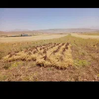 سرکارگر امور کشاورزی انبار سرد خانه|خدمات باغبانی و درختکاری|کرمانشاه, |دیوار