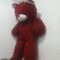 خرس خارجی