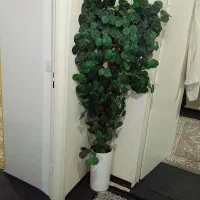 درختچه مصنوعی معاوضه با پرنده