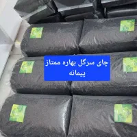 فروش چای ممتاز لاهیجان زرین،سرگل،شکسته باضمانت|خوردنی و آشامیدنی|کرج, دولت‌آباد|دیوار