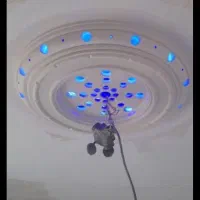 گچکاری وکاشی سرامیک کاری   سیمان سفید|خدمات پیشه و مهارت|بندرعباس, |دیوار