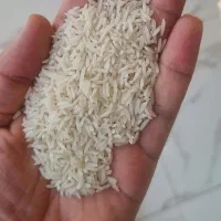برنج ایرانی فجر گرگان برنج استخوانی شمال