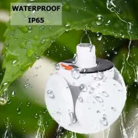 لامپ شارزی|لامپ و چراغ|مشهد, سجاد شهر|دیوار