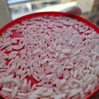 برنج هاشمی صدری گیلان تناژ و خرده با تست