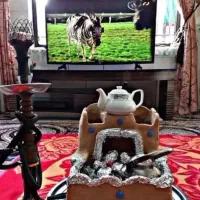 مَنقَلِ گِلی