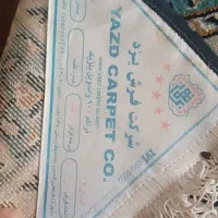 قالی دست دوم|فرش|کیار, |دیوار