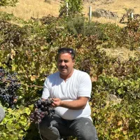 انواع نهال میوه|خدمات باغبانی و درختکاری|کاشمر, |دیوار