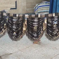 پرده دالبور رایگان