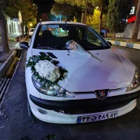 گل فروشی فلورا تخفیفات روز مادرو از دست نده|گل و گیاه طبیعی|آباده, |دیوار