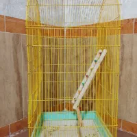 قفس پرنده بزرگ