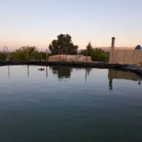 فروش باغ ده محرم دارای آب وبرق و اشتراک گاز شهری|فروش دفتر صنعتی، کشاورزی، تجاری|شاهرود, |دیوار