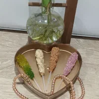 قندو نبات|خوردنی و آشامیدنی|تهران, مشیریه|دیوار