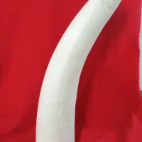 یک عدد عاج فروشی