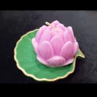شمع یا مهدی عج