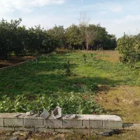 فروش نقدواقساط زمین خانه سرا۴۶۸ متری|فروش زمین و ملک کلنگی|قائمشهر, |دیوار