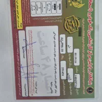 پژوپارس مدل۹۹|خودرو سواری و وانت|تهران, نازی‌آباد|دیوار