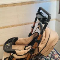 کالسکه بنیتا دلیجان