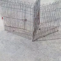 پارک سگ و گربه