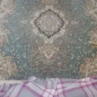 قالی|فرش|شاهینشهر, شهرک گلدیس|دیوار