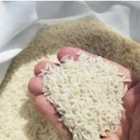برنج درجه یک طارم هاشمی