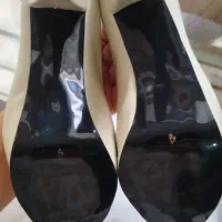 کفش مجلسی|کیف، کفش، کمربند|کاشان, سوریجان|دیوار