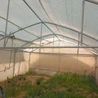 سازه گلخانه