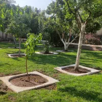 خدمات دانش بنیان کشاورزی توسط دکتری تخصصی کشاورزی|خدمات باغبانی و درختکاری|تبریز, |دیوار