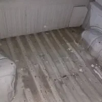 وانت پیکان مدل ۸۹ دوگانه شرکتی|خودرو سواری و وانت|قائم‌شهر, |دیوار