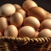 تخم مرغ لاری