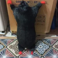 چند عدد خیگ ومشک‌ اب ودوغ