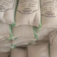 برنج کامفیروزی صد در صد به شرط|خوردنی و آشامیدنی|شیراز, سجادیه|دیوار