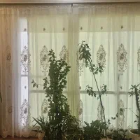 پرده سالن حریر ترک