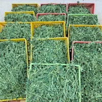 سبزیجات تازه