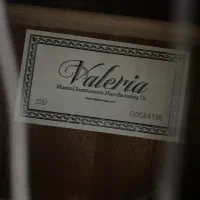 گیتار والریا|گیتار، بیس، امپلیفایر|قم, امامزاده ابراهیم|دیوار