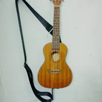 اوکولهله برند GECKO|گیتار، بیس، امپلیفایر|شیراز, گلکوب|دیوار