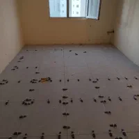 کاشی کاری و سرامیک|خدمات پیشه و مهارت|بومهن, |دیوار