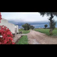 باغچه-نزدیک-شهردزفول
