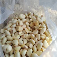 سیر حبه همدان