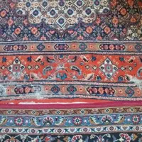 فرش دستباف نفیس|فرش|زاهدان, |دیوار