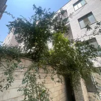 واحدمسکونی ۶۰متری+حیاط دار*خیابان مصطفوی|فروش آپارتمان|کهریزک, |دیوار